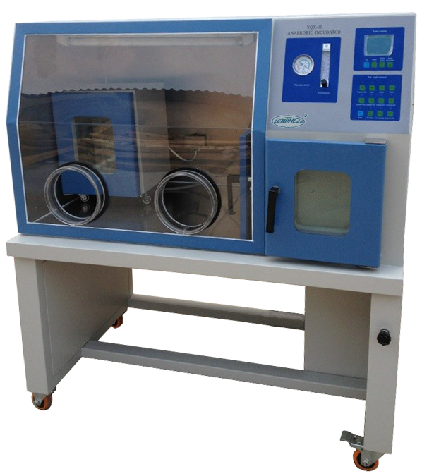 GLOTECH ANAEROBIC INCUBATOR 